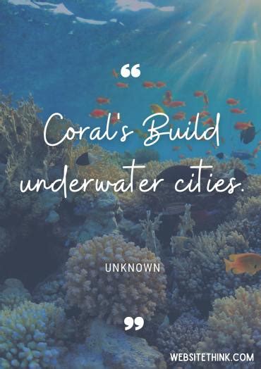Exploring the Unseen: Unveiling the Secrets of the Coral Platform